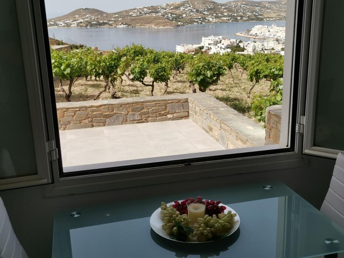 Wonderful Sea View Villa Párosz Kültér fotó